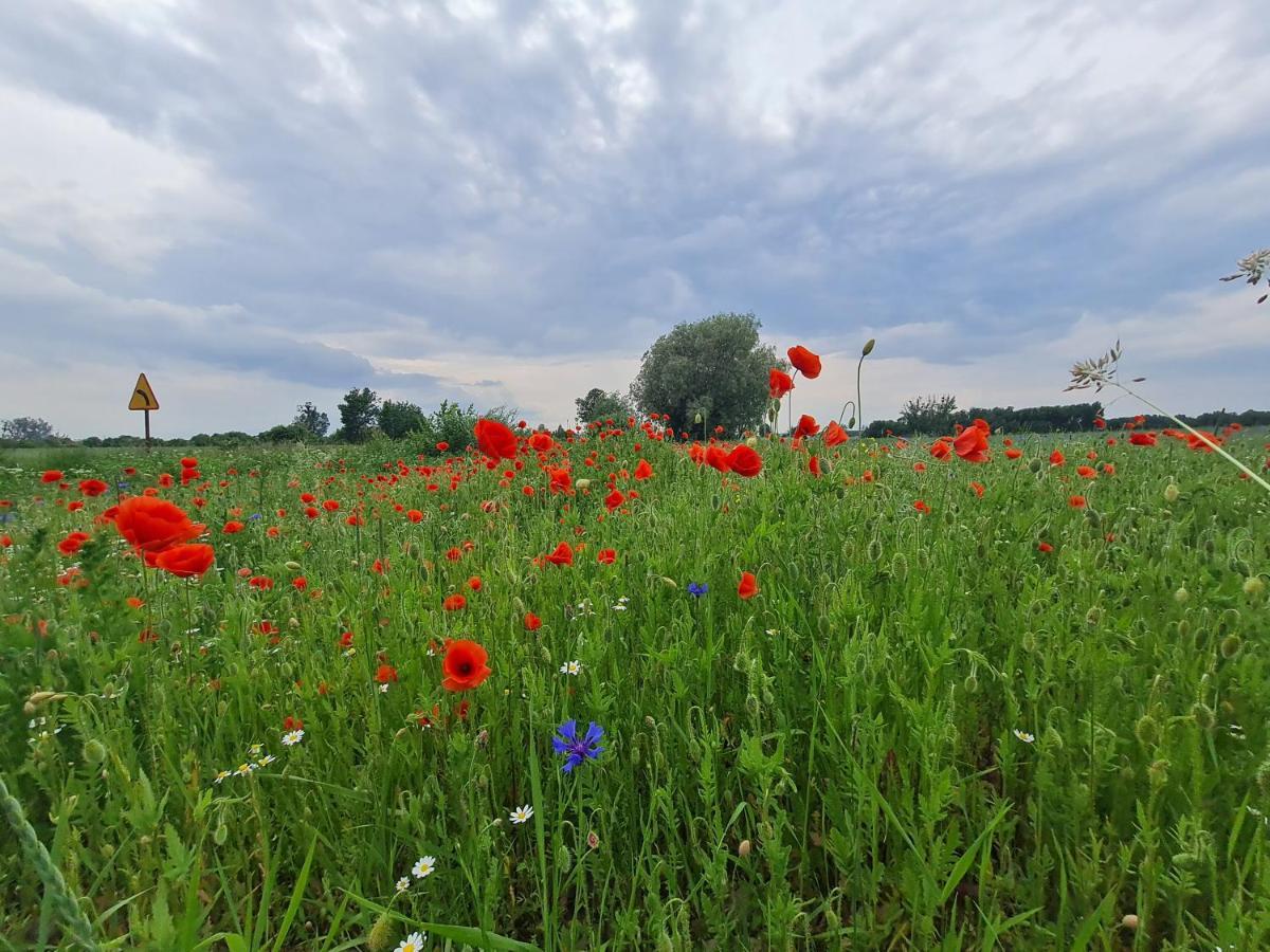 Siedlisko Jozefka Villa Zarobka Buitenkant foto