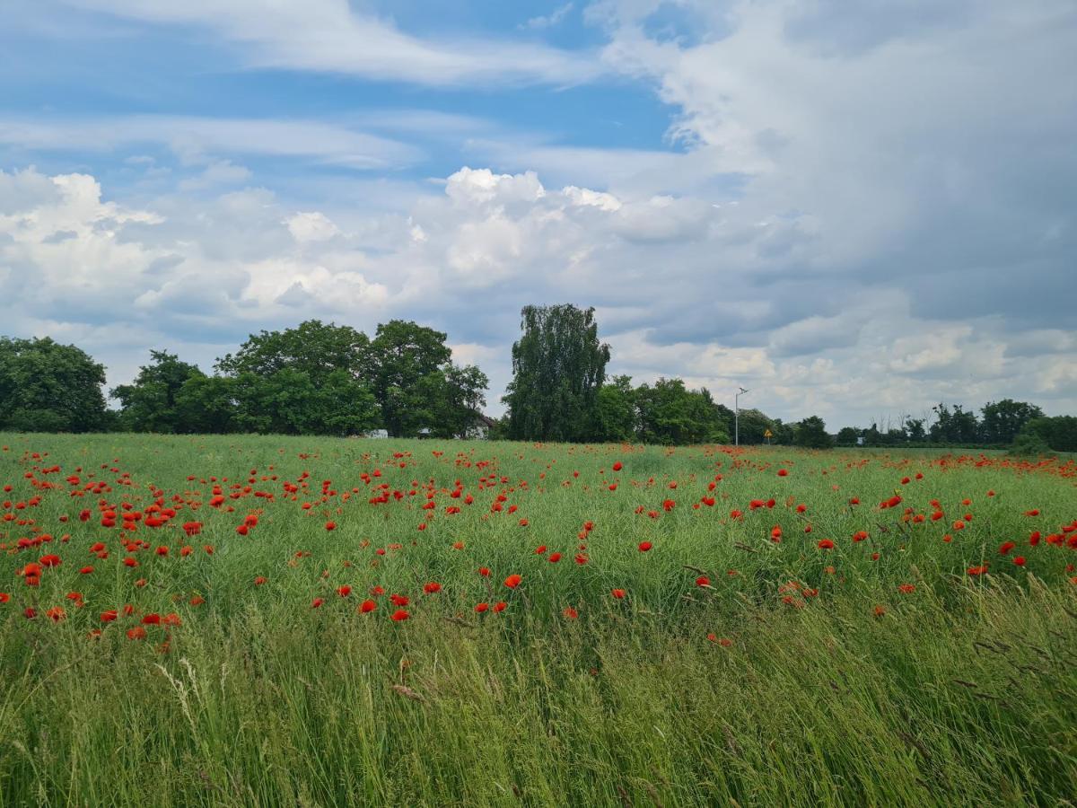 Siedlisko Jozefka Villa Zarobka Buitenkant foto